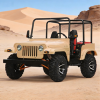 Modèle Elite 2026 250cc 400cc Jeep 2WD 4WD Moteur 4 temps Essence Électrique Adulte 2 places avec boîte de chargement Châssis robuste
