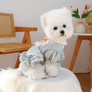Accesorios para Perros 2026, Ropa para Mascotas Primavera-Verano, Vestido para Perro Estilo Corte, Vestido de Encaje de Lujo, Venta al Por Mayor - Product Image 1