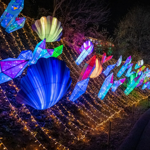 SGL193 Luci Magiche Invernali, Esposizione del Festival delle Lanterne di Zigong, Lanterna a Tema Famiglia di Pinguini LED - Product Image 5