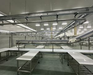 Nueva Línea Semiautomática de Sacrificio de Ganado en Acero Inoxidable 304, Máquina Desolladora con Rodamientos, 380V, 60-150kg/h, Altamente Personalizable, 2 Años de Garantía - Product Image 4