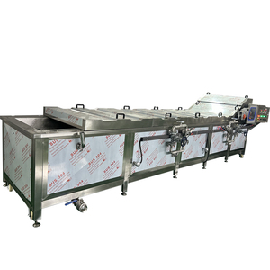 Yarı otomatik büyük endüstriyel sebze temizleme makinesi makine hava kabarcığı teknolojisi Motor ve meyve için pompa çekirdek bileşenleri - Product Image 1