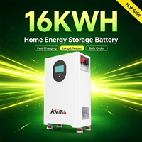 Batterie murale 16 kWh 51,2 V 316 Ah LiFePO4 pour système de stockage d'énergie solaire domestique hors réseau et alimentation de secours solaire