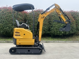 Durable Model 17 <b>Small</b> Mini Crawler Excavator with Original Engine - Agricultural Digger for Home & Field - Product Image 2