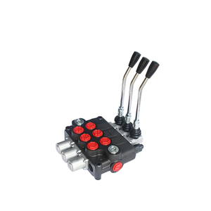 Válvula de Control Direccional Monobloque Hidráulica de 2 Bobinas P120-A1-GKZ1 con Retorno por Resorte |   Fabricante Directo de Fábrica y OEM/ODM - Product Image 1