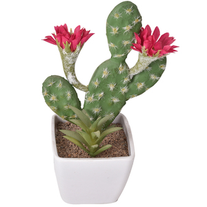 Petite plante artificielle <span class=keywords><strong>en</strong></span> <span class=keywords><strong>pot</strong></span>, cactus, plante de simulation pour la décoration de bureau moderne et simple, mini succulente artificielle, bricolage - Product Image 5