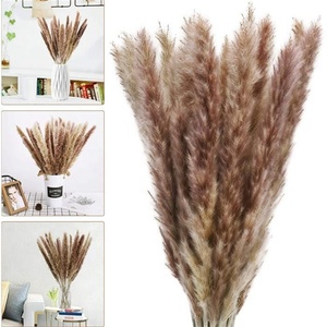 <span class=keywords><strong>Mini</strong></span> <span class=keywords><strong>bouquet</strong></span> de <span class=keywords><strong>fleurs</strong></span> <span class=keywords><strong>séchées</strong></span> gypsophile naturelles, vente en gros, bon marché - Product Image 4