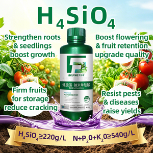 Fertilizzante Organico Liquido all'Acido Nanosilicico Adatto per Verdure, Alberi da Frutto, Cereali e Giardinaggio - Product Image 1