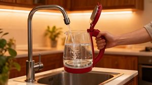 High Quality Cordless <b>Kettle</b> 1500W <b>Temperature</b> <b>Control</b> 360-Degree Rotating Base Insulated Glass 1.8L Capacity Hotel - Product Image 2