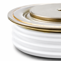 Diode redresseuse TECHSEM Y35ZPC 1290A 1200V-2000V, diode disque haute puissance à montage en surface, fixation par serrage