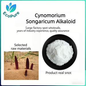 98% Alcaloide de Cynomorium Songaricum |   Pó Branco Puro |   Extrato <span class=keywords><strong>Herbal</strong></span> de Grau Alimentício - Product Image 3