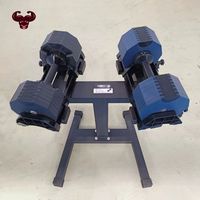 Nouveau design 32kg 36kg 40kg haltères décagonaux Nuobell libres jeu d'haltères réglables avec logo personnalisé pour salle de sport