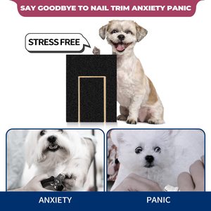 Petdom-almohadilla para rascar con forma de pata de perro, Lima, recortadora, caja para rascar, esmeril, papel de lija, almohadilla para pulir - Product Image 5