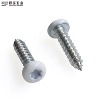 Vis autoperceuses/autotaraudeuses pour toiture en acier galvanisé haute durabilité, peinture fluorocarbone personnalisée, pour extérieur