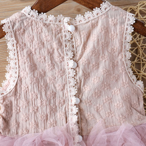 Robe de princesse en dentelle rose pour bébé fille de 2 ans, style européen, pas chère, pour mariage, été, en stock - Product Image 6