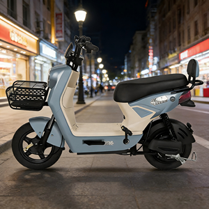 & Scooter |   Batería Extraíble de Alto Rendimiento de 48v con Alcance de 50km - Product Image 3