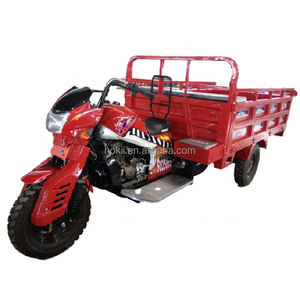 รถสามล้อ250cc รถมอเตอร์ไซค์ hokii - Product Image 4