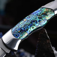 Couteau pliant de survie VG10 en acier Damas avec manche en abalone, forgé pour l'extérieur, 60 HRC, portable, collection, couteau à fruits, DIY, OEM