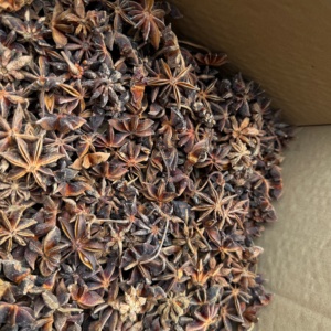Anís Estrellado Chino <span class=keywords><strong>de</strong></span> Alta Calidad, 100% Natural, <span class=keywords><strong>Grano</strong></span> Entero, Secado al Sol, Especias Individuales, Alto Contenido <span class=keywords><strong>de</strong></span> Aceite, 1 kg - Product Image 1