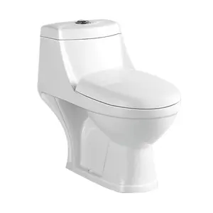 Modern design american standard standing p trap dual flush one piece ceramic water closet toilet