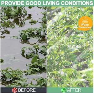 透明な押出成形温室用プラスチックシート 6ミル ポリエチレンフィルム 高耐久 水・太陽・霜・風・埃対策 農業用 - Product Image 5