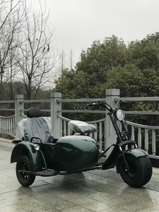 Tricycle électrique de haute qualité, <span class=keywords><strong>vélo</strong></span> électrique à pédales avec side-car, moto électrique pour adultes - Product Image 5