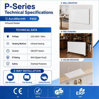 Panel de Calefacción Infrarrojo de Fábrica OEM con Certificación CE, Ahorro de Energía, Montaje en Pared/Techo/Suelo, Calentador Eléctrico para el Hogar