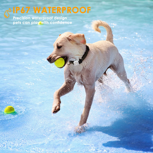 Thấp moq tuya App Hỗ trợ Mini GPS Pet sức khỏe Tracker thời gian thực ai Pet Tracker 4 gam Mạng <span class=keywords><strong>GPRS</strong></span> không có lệ phí hàng tháng cho chó mèo - Product Image 3