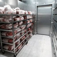 Machine de décongélation automatique pour viande congelée, équipement de décongélation à basse température et haute humidité pour usine de transformation alimentaire