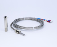 Sonde de température filetée DWEL WRNT202, thermocouple S/R/B/K/E/J/N/T, RTD PT100 PT1000 PT200 PT500 pour four d'extrusion