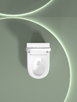 Petit sanitaire monobloc en céramique de forme allongée siège à affleurement automatique contrôlé à distance toilette intelligente Offre Spéciale monté au sol