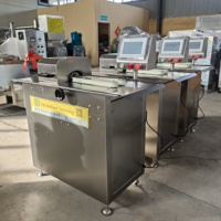 Automatische Wurstbindemaschine, Knoten- und Umreifungsgerät für Hot Dog Würste, Fleischverarbeitungsfabrik, Edelstahl
