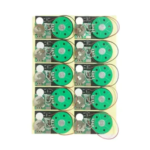 Tự làm sinh nhật âm nhạc chip 120 giây giọng nói cho thẻ âm nhạc