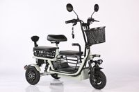 Tricycle électrique pliable portable à 3 places, double propulsion, panier de rangement, excellente capacité de montée, pour parents et enfants, transport de personnes âgées, charge de 200 kg