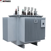 Transformateur de puissance immergé dans l'huile Wanbo-216, haute efficacité, faibles pertes, enroulement en cuivre, norme IEC, OEM disponible