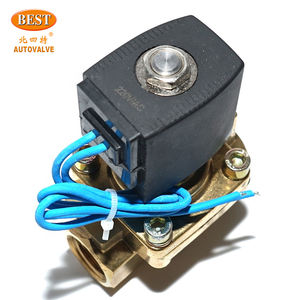 Válvula solenoide de pistón operada por piloto Z231 de latón de 2/2 vías NC12v 24V 220V 110V AC DC de alta presión para vapor - Product Image 5