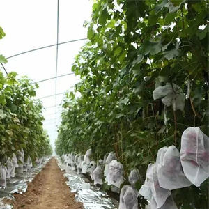 Rollo de tela no tejida para agricultura agrícola no tejida Super ancho empalme Pp tela no tejida <span class=keywords><strong>manta</strong></span> helada para <span class=keywords><strong>plantas</strong></span> - Product Image 1