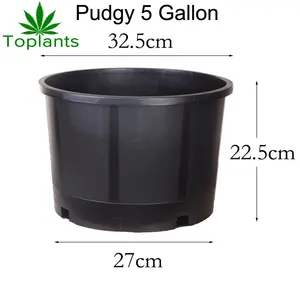 Goede Kwaliteit Plastic Pp Mollige 5 Gallon Pot In Lage Prijs Voor Kruiden Groeien