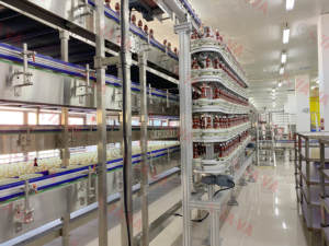 Hoge Kwaliteit Pakket Industrie Spiraal Buffer Transportband Friction Top Ketting, Spiraal Tillen & Alpine Accumulatie Transportband - Product Image 4