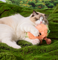 Jouets pour chats : Hi, Kitten, Mimi, Jouets à la catnip, Bâtonnet de chat pour le chatonnage, Jouets à mâcher pour chats, Jouets sonores, Série Fruits, Préférés des animaux de compagnie