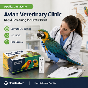 Kit <span class=keywords><strong>de</strong></span> Prueba Rápida NDV para Loros, Palomas y Aves Exóticas, Uso Veterinario, Sin Pedido Mínimo, Muestra Gratuita - Product Image 2
