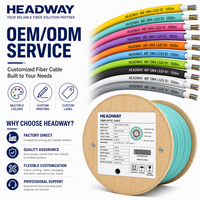 Cable Troncal de Fibra Óptica Multimodo OM4 de 48 Núcleos HEADWAY para Interiores/Exteriores, LSZH GB 31247 B1(d0t0a1), Retardante de Llama, Aéreo