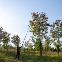 70ft Kokosnoot Plukker Areca Noot Oogstpaal Koolstofvezel Telescopische Paal Voor Fruit Oogsten Of Snoeien Van Bomen
