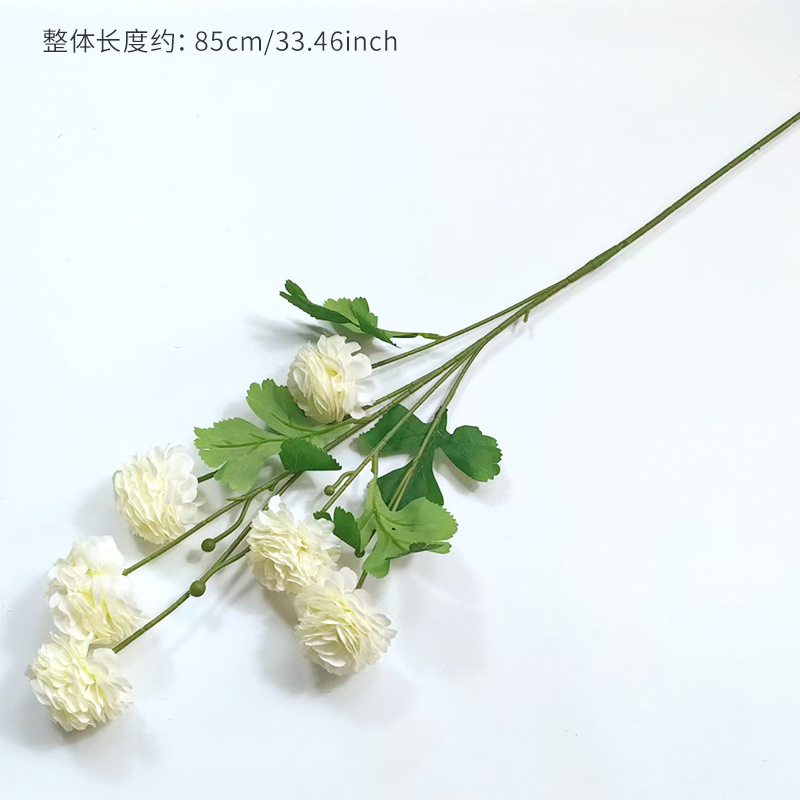 Blanc