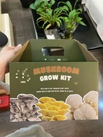 Boîte de culture de champignons avec impression personnalisée, kit de culture de champignons, boîtes en carton, emballage en papier pour la culture de champignons