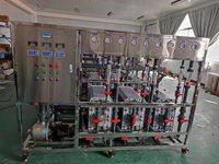 Système RO+EDI pour la production d'eau ultra-pure, équipement de traitement de l'eau industrielle avec garantie d'un an et capacité de 500 L/heure