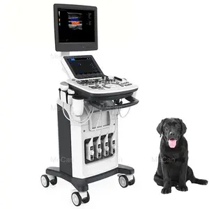 Cheap Ecografo Medical Ultrasound Scan Instruments Color Doppler USG Ultrasound Machine for Animals