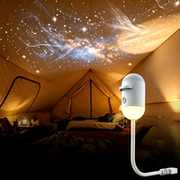 Projecteur d'étoiles intelligent, lampe de nuit USB, lampe de nébuleuse galactique, lumière de projection LED 2 en 1, décoration de chambre à coucher, personnalisable OEM