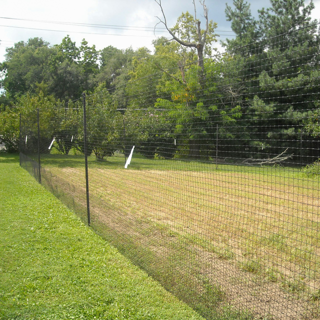 Plastic Anti Bird Netting / Bop Net Hunting Turtle Dove Net Catching Bird Mist Trellis