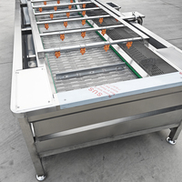 Commerciële bubbelwasmachine met recirculerend water voor het reinigen van fruit, groenten, maïs, noten en het ontdooien van diepvriesproducten