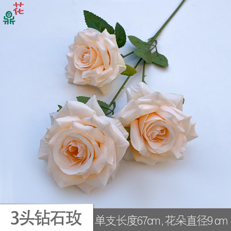 3เพชรกุหลาบ hyd แชมเปญลึก